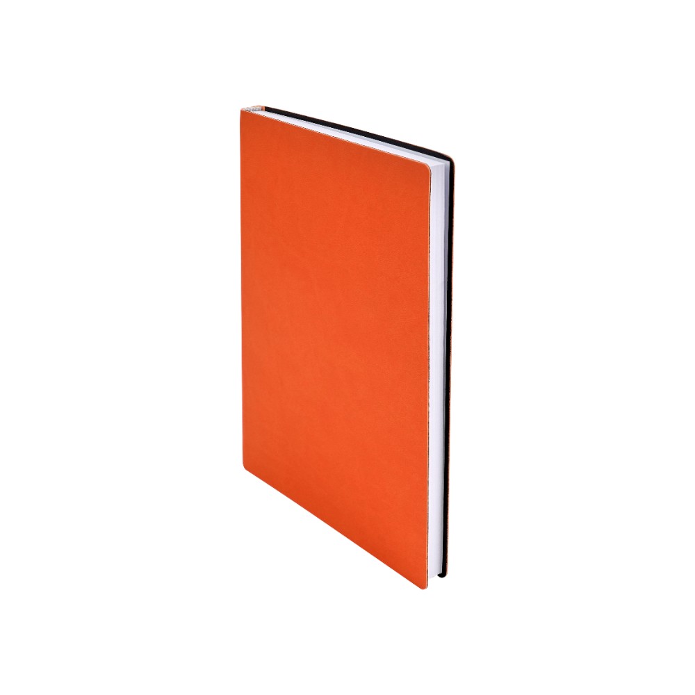 Ежедневник недатированный 