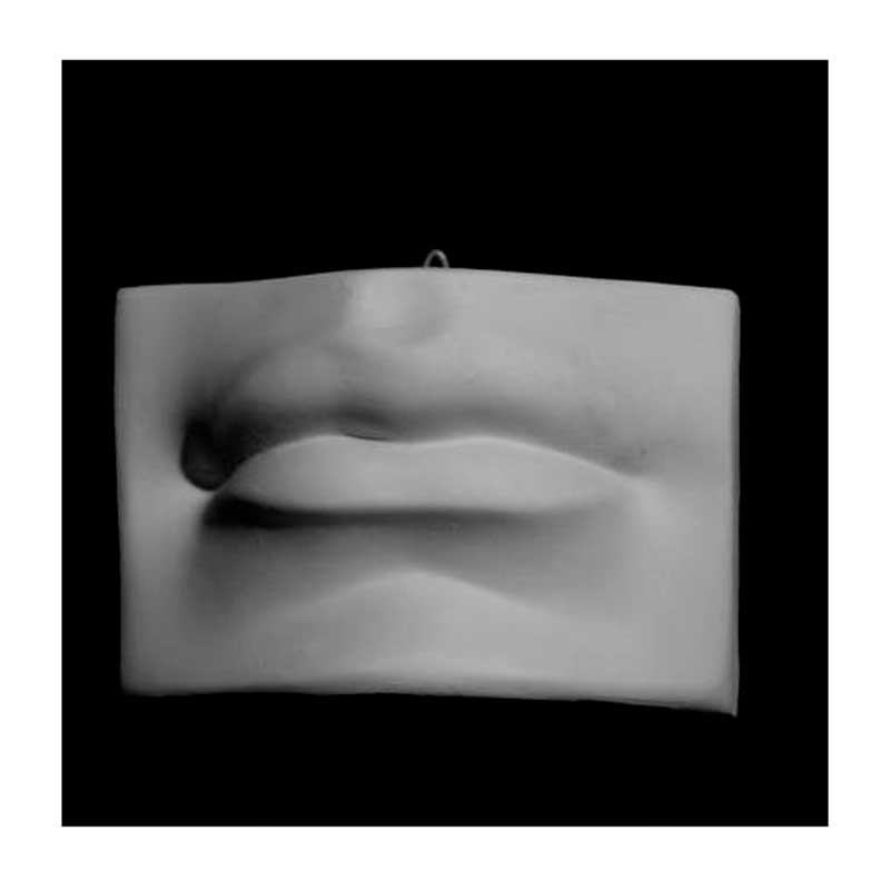 Гипсовая модель "Губы Давида"