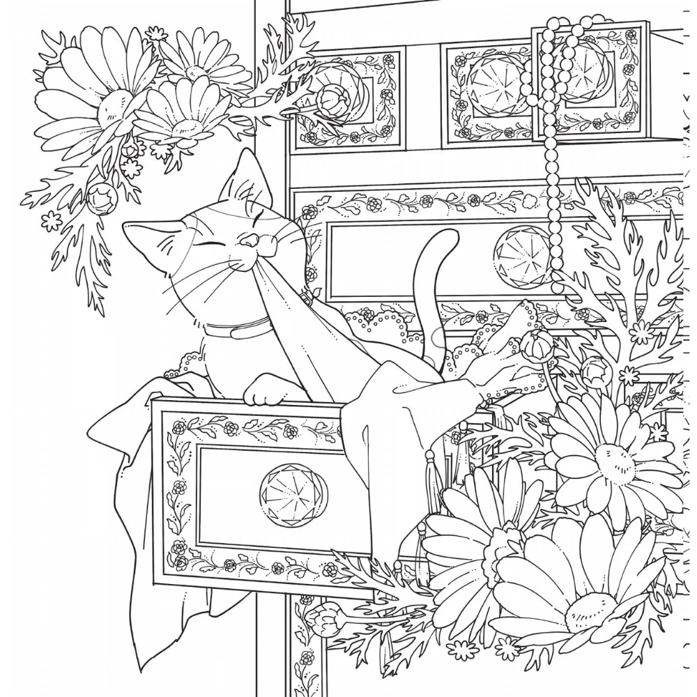 Книга "Цветочный сон котика Соры", Нацуки - 4