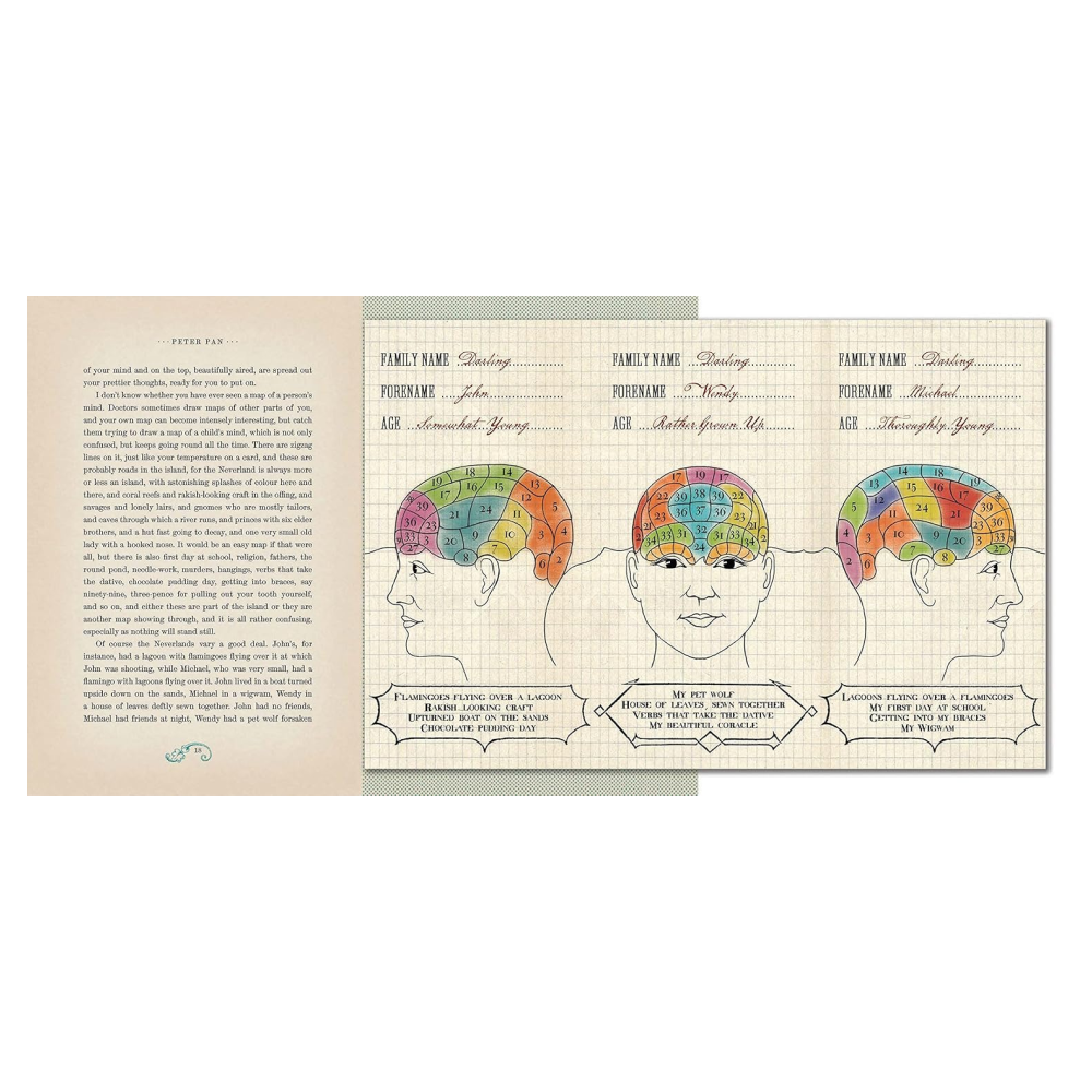 Книга на английском языке "Peter Pan MinaLima Ed", James Barrie - 4