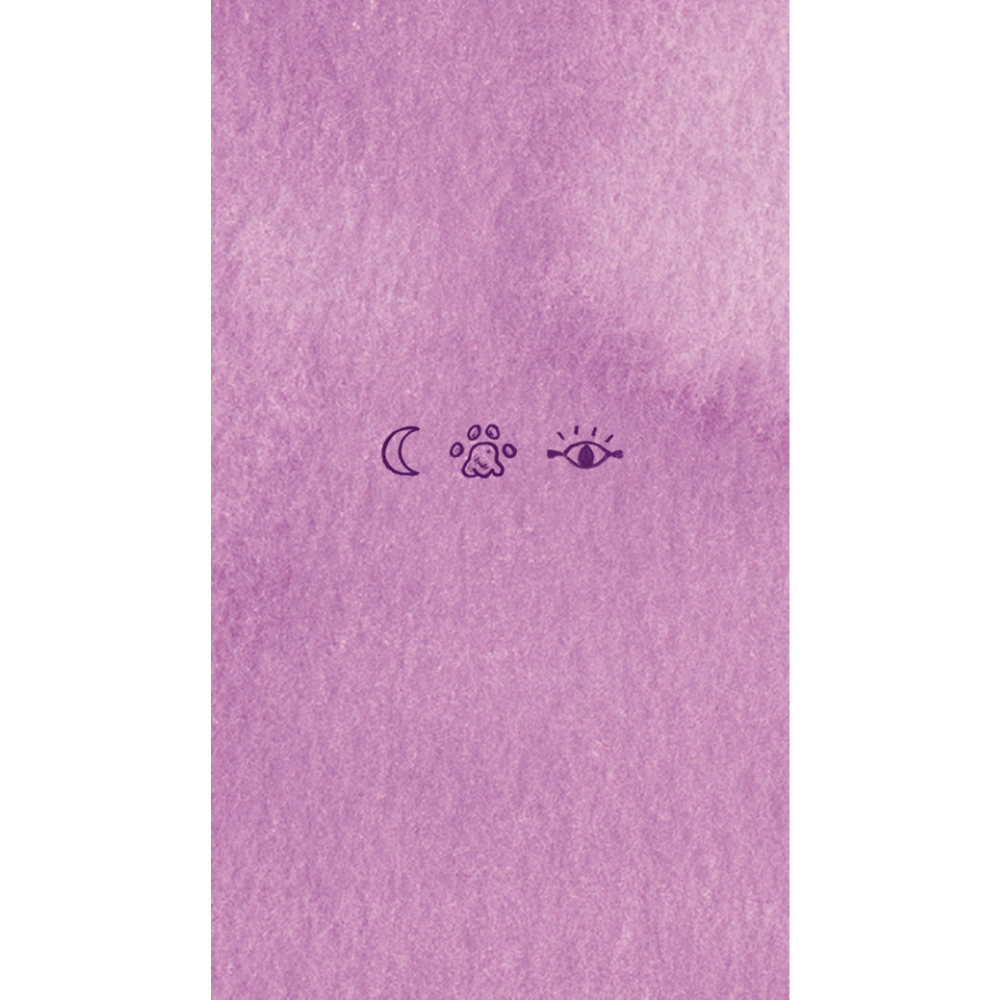 Карты "Cat Tarot. Таро Котиков (78 карт и руководство в подарочном футляре)", Меган Котт - 9