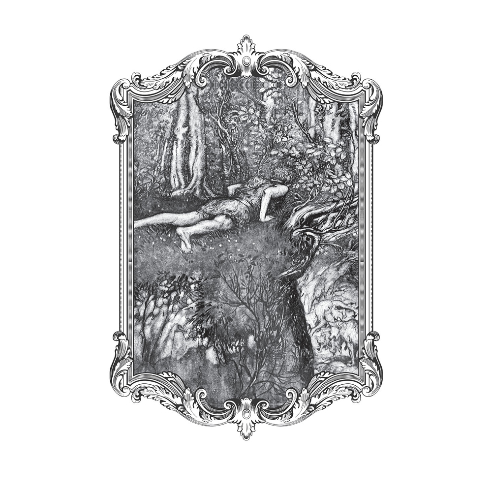 Книга на немецком языке "Песнь о Нибелунгах = Das Nibelungenlied" - 9