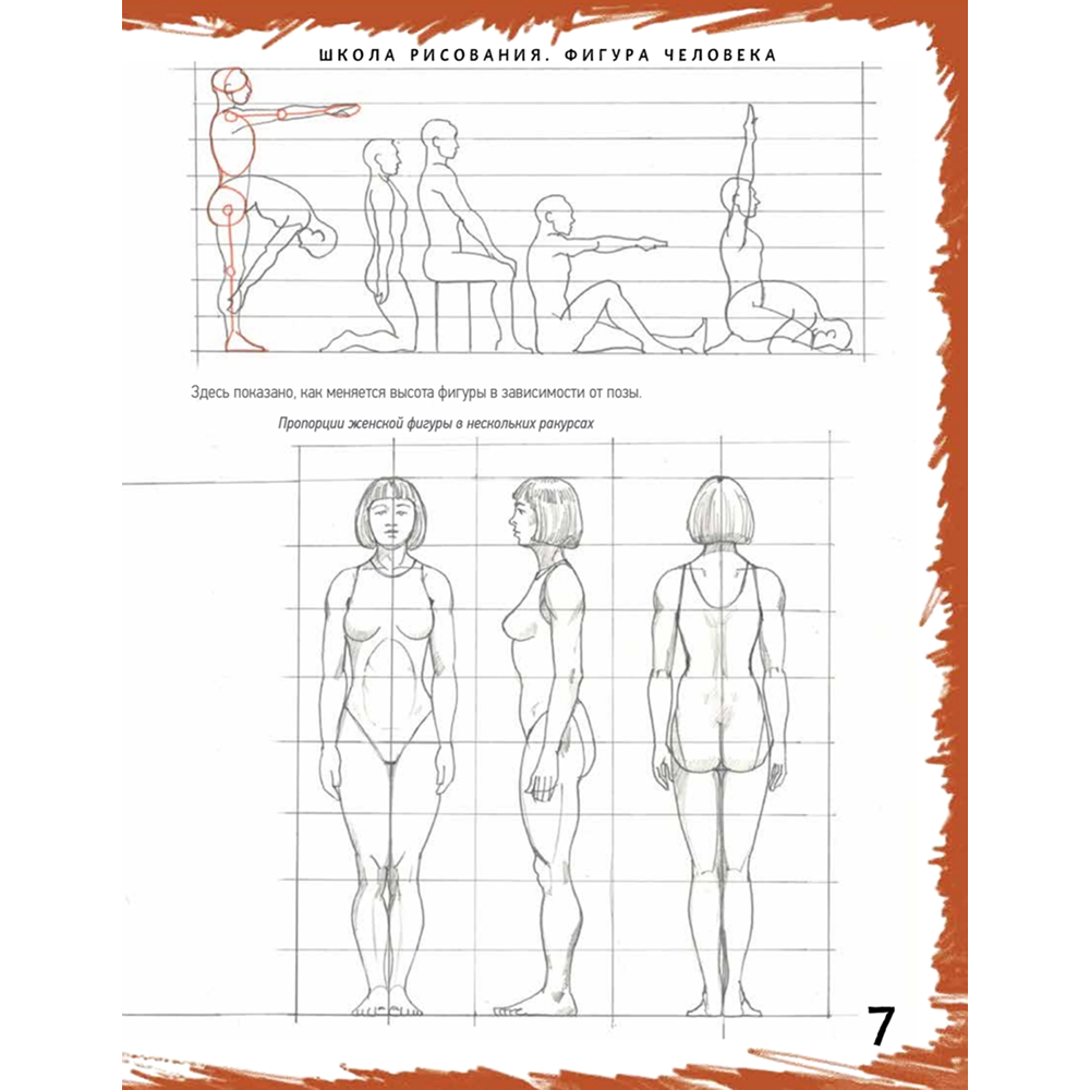 Книга "Школа рисования. Фигура человека", Марк Берджин - 4