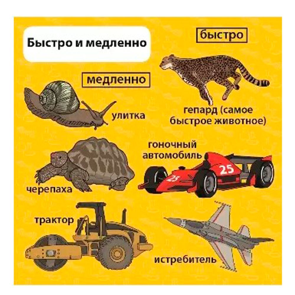 Игра настольная "Сундучок знаний "Мои первые знания"
