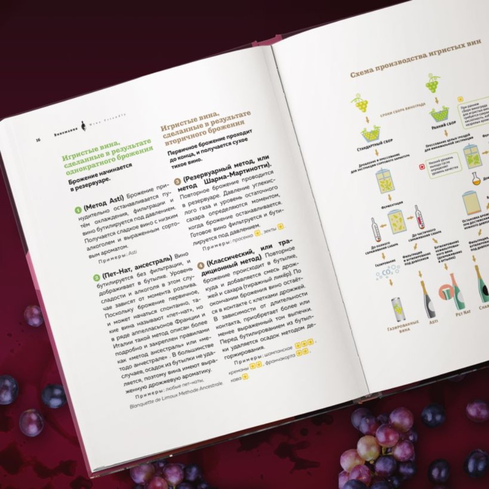 Книга "Виномания. Наглядный путеводитель по винному миру", Дмитрий Мережко - 4