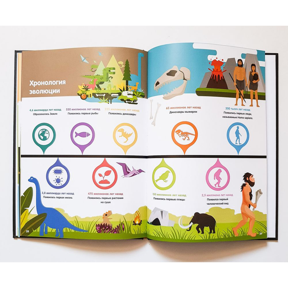 Книга "Эволюция: инфографика", Харриет Брандл - 6