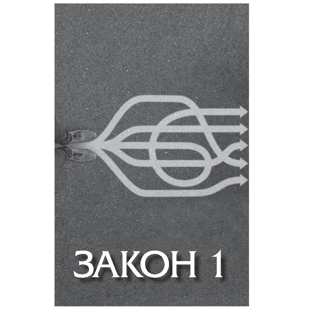 Книга "Законы победителей", Бодо Шефер - 7