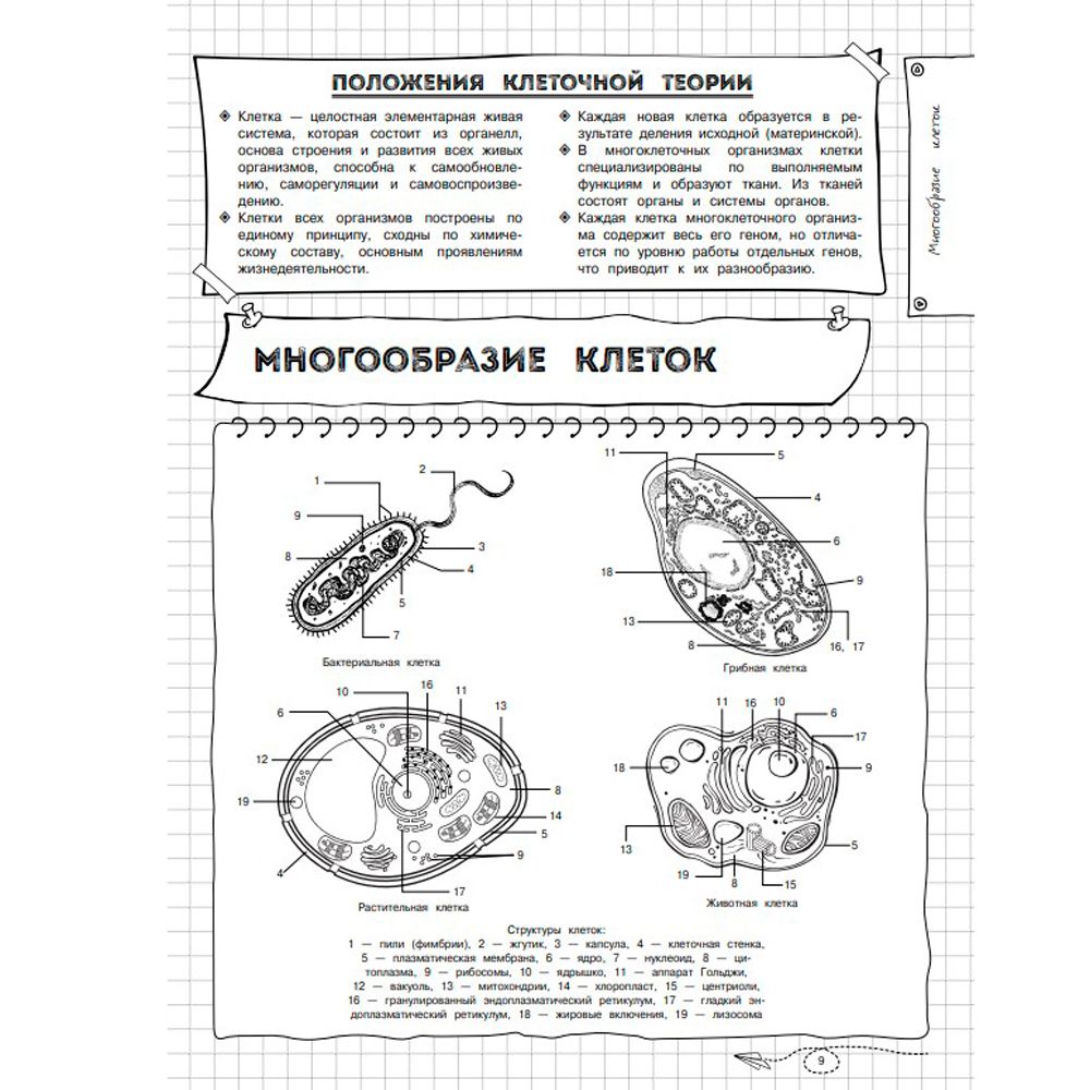 Книга "Наглядная биология" - 7