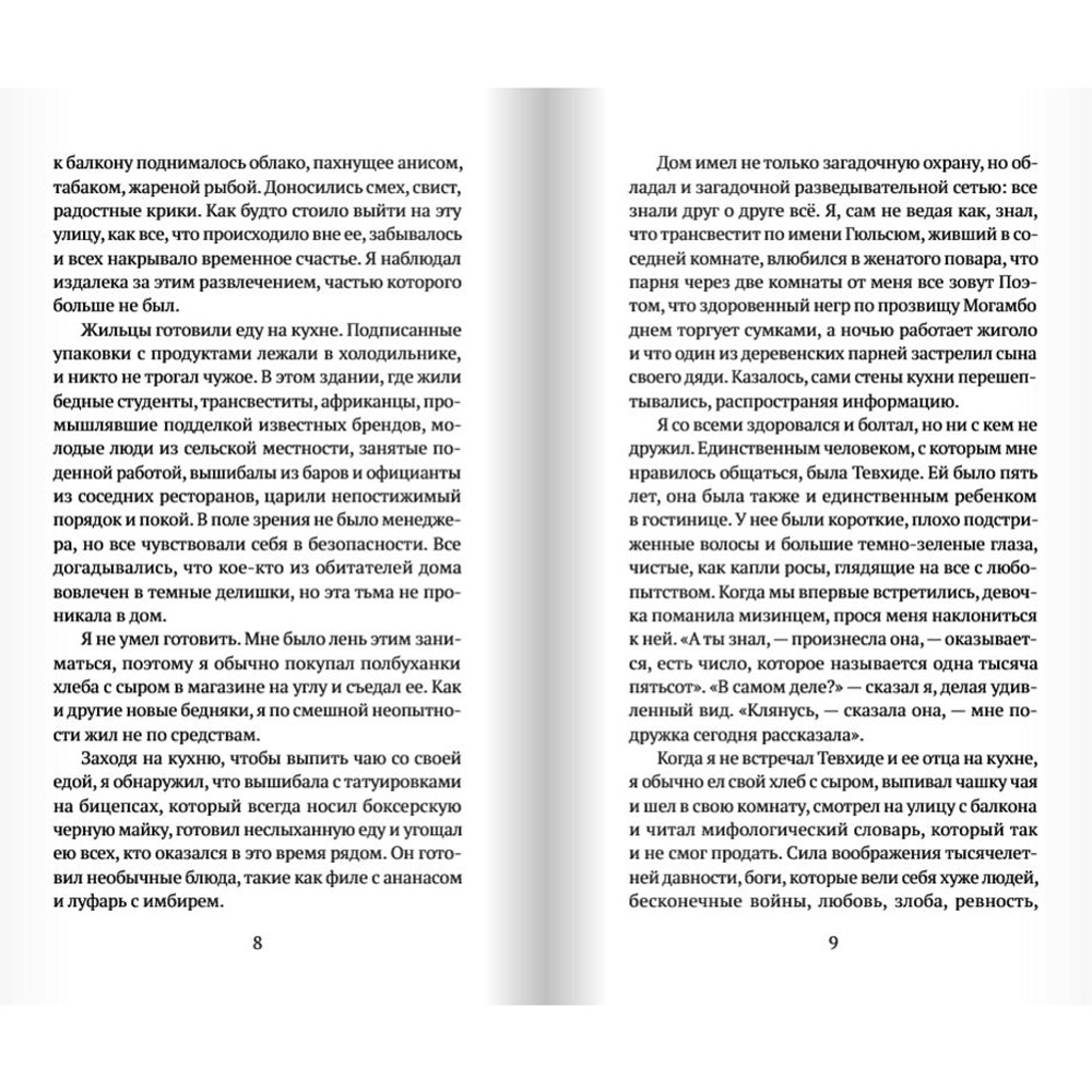 Книга "Мадам Хаят", Ахмет Алтан - 4