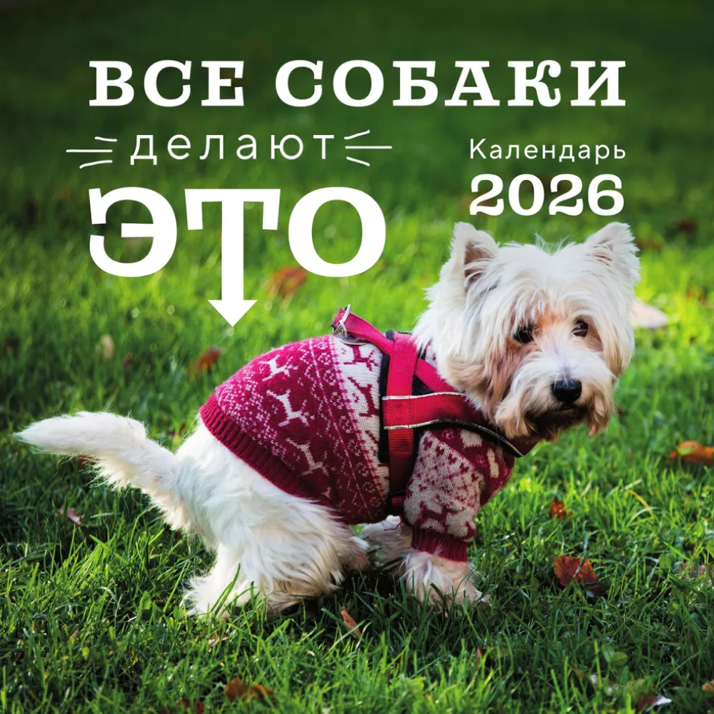 Календарь настенный перекидной "Все собаки делают это" на 2026 год