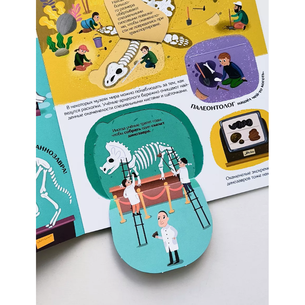 Книга "Книжка с окошками. Секреты динозавров" - 3