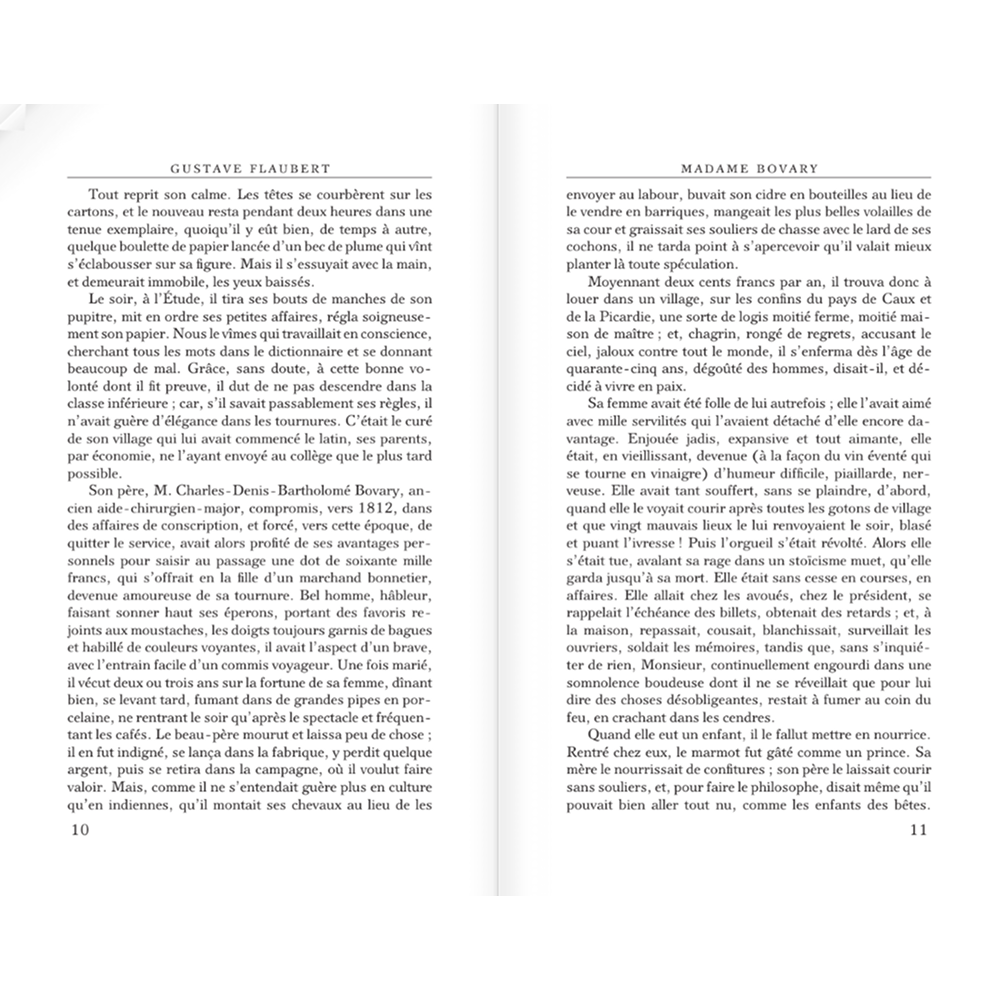 Книга на французском языке "Madame Bovary", Гюстав Флобер - 7