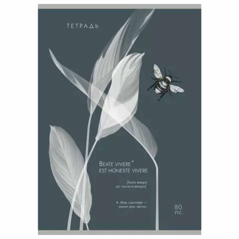 Тетрадь "Латынь", А4, 80 листов, клетка, ассорти