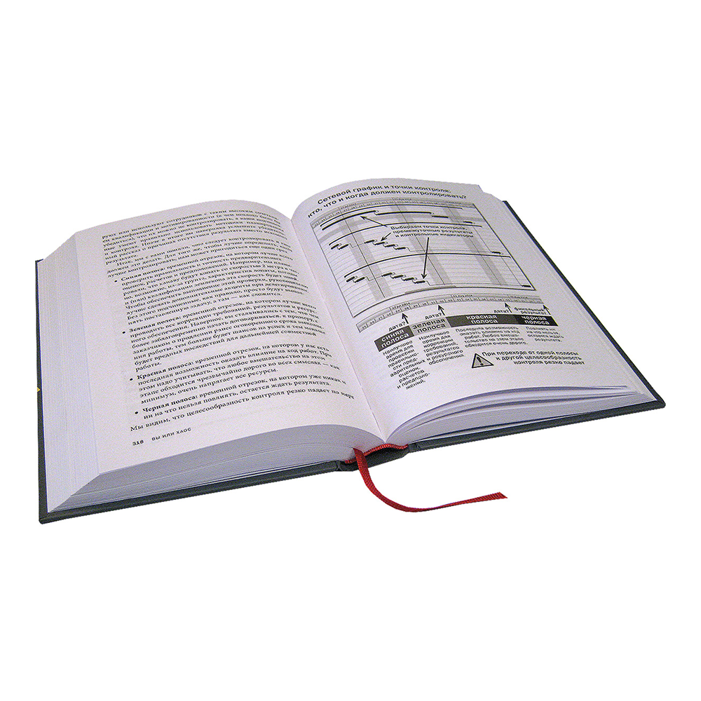 Книга "Вы или хаос. Профессиональное планирование для регулярного менеджмента", Александр Фридман - 3