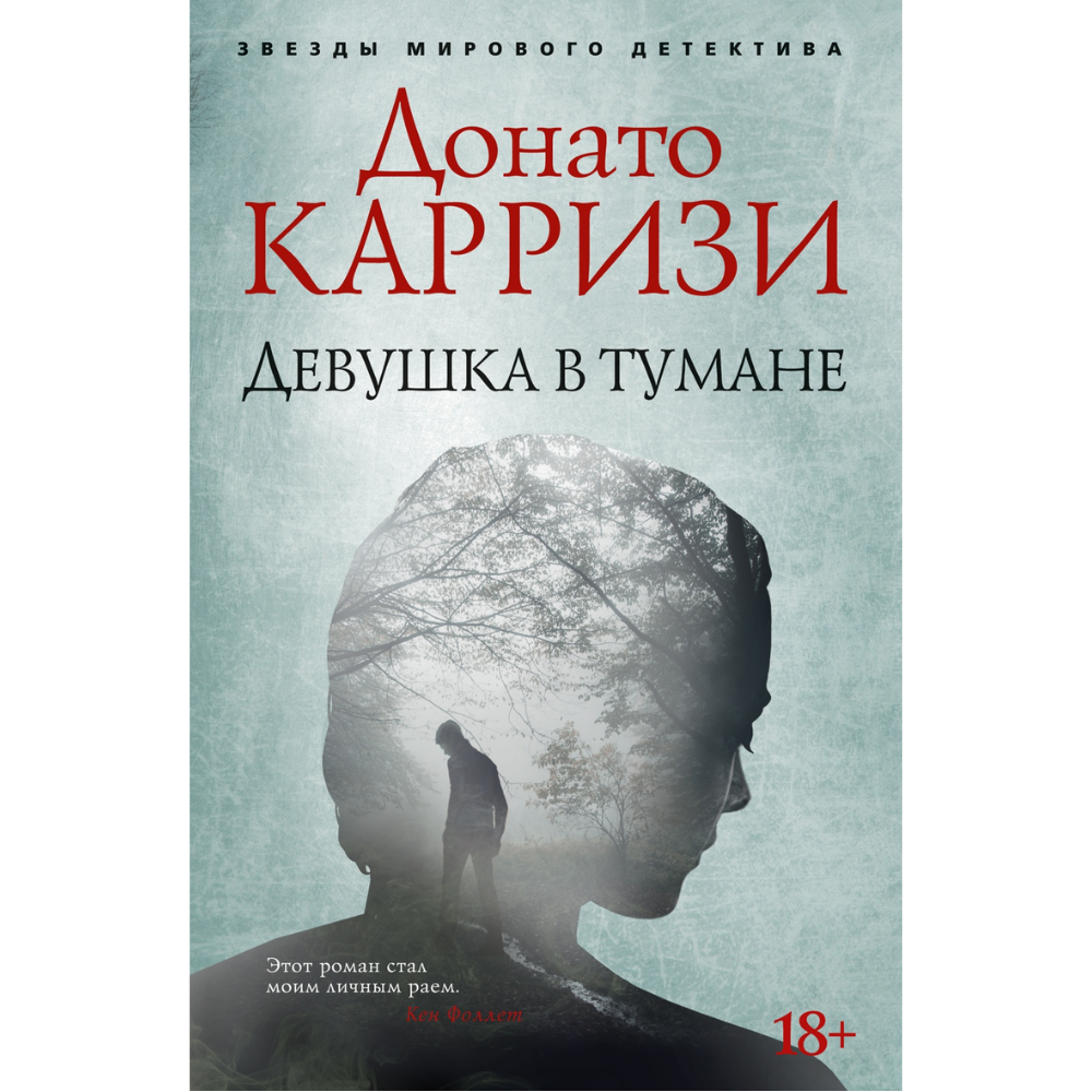 Книга "Девушка в тумане", Донато Карризи