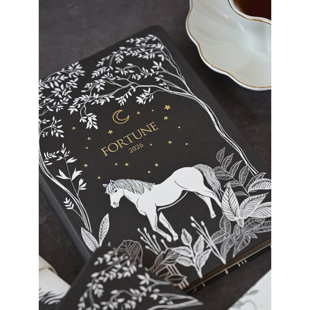 Ежедневник датированный "Fortune" на 2026 год, А5, черный - 8