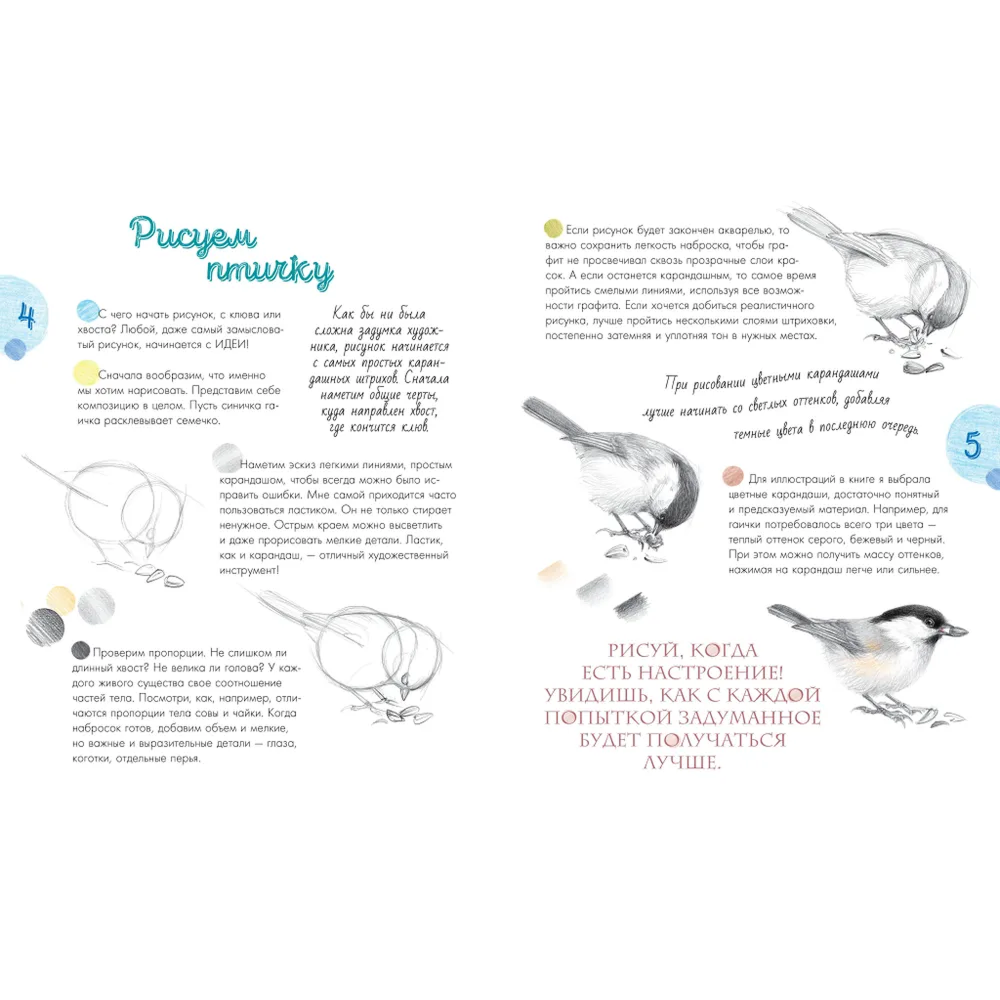 Книга "Птицы в городе. 25 историй в фактах и рисунках", Наталья Габеева