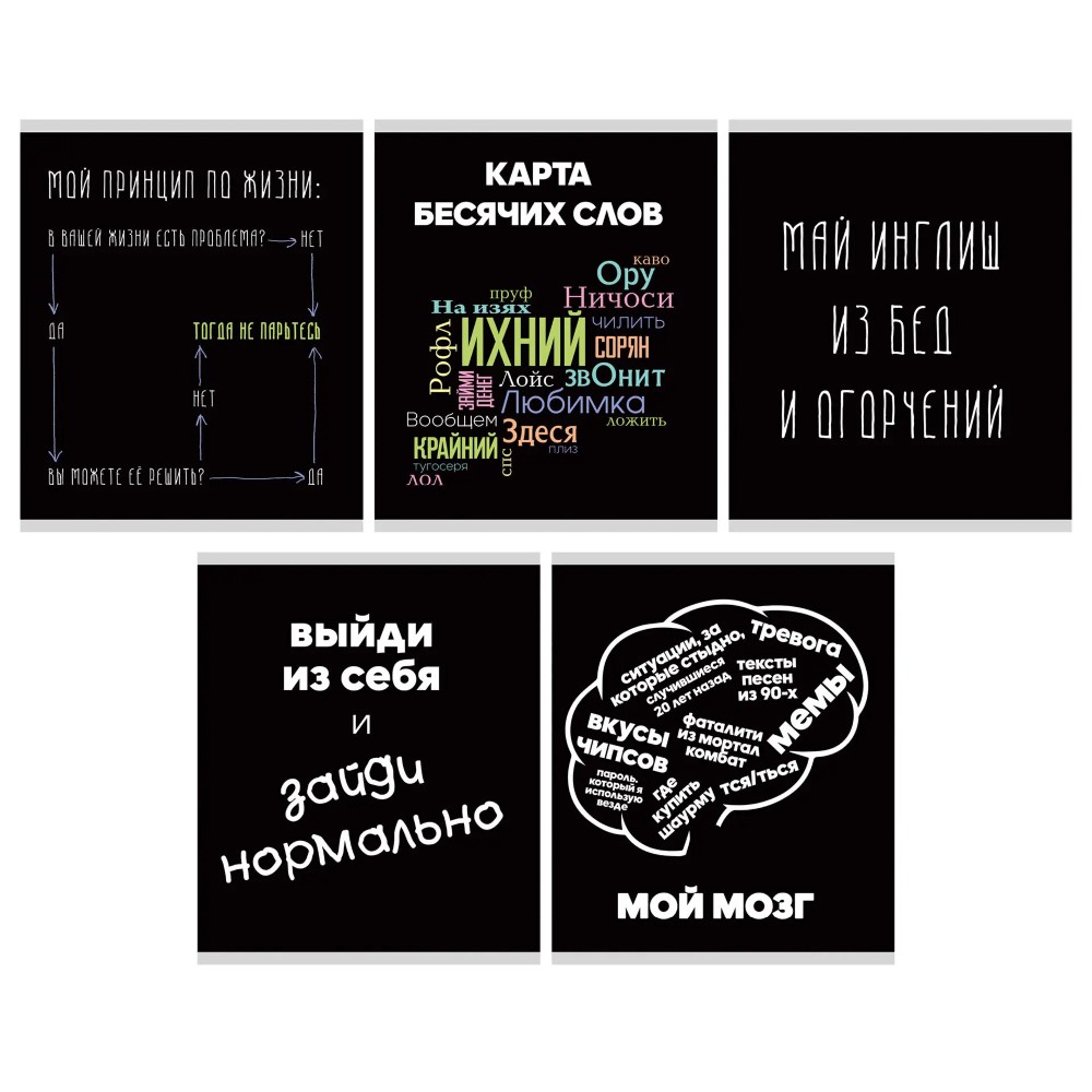 Тетрадь "Говорящая тетрадь", А5, 48 листов, клетка, ассорти