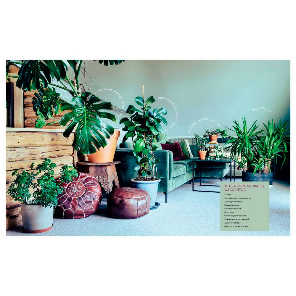 Книга "Urban Jungle. С любовью к растениям", Андерс Рёйнеберг, Эрик Шервен - 12