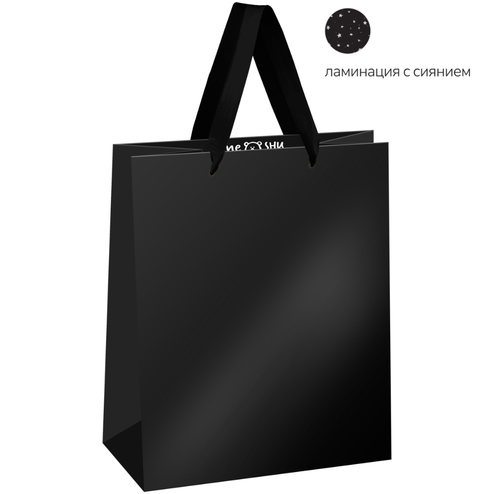 Пакет подарочный "Black",18x23x10 см, ламинированный