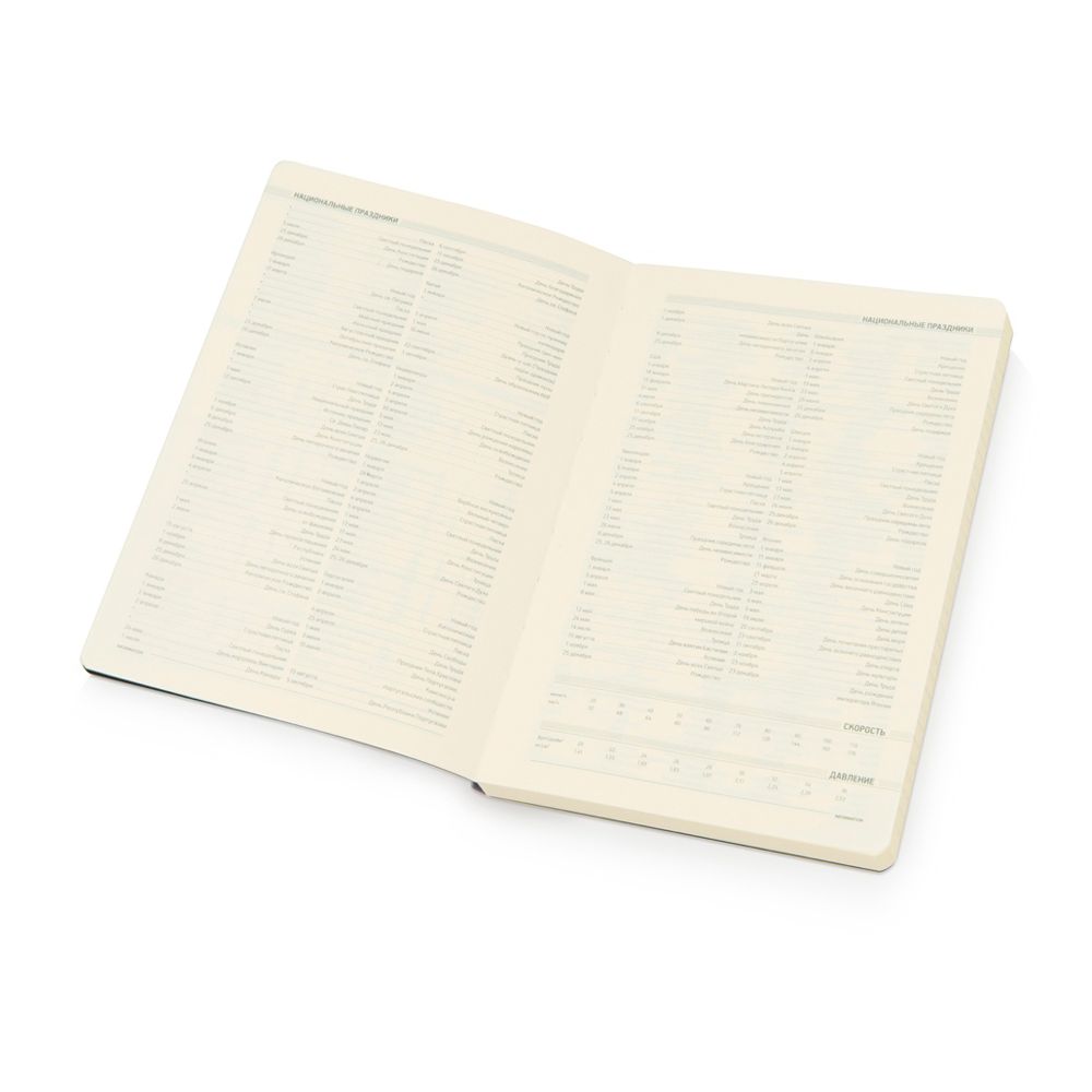 Ежедневник недатированный "Megapolis Flex", А5, 272 страницы, серебристый - 4