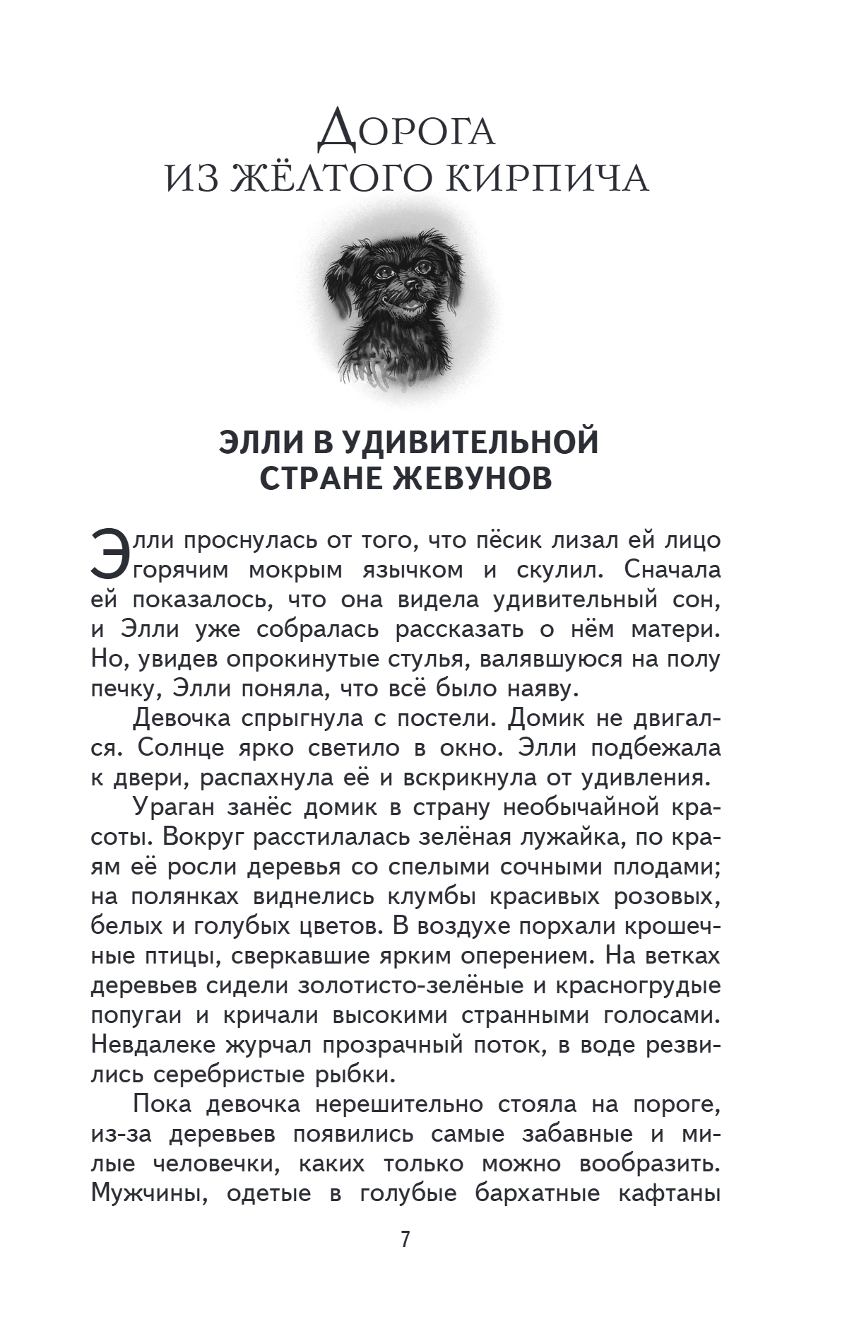 Книга "Книги для внеклассного чтения. Волшебник Изумрудного города", Александр Волков - 14