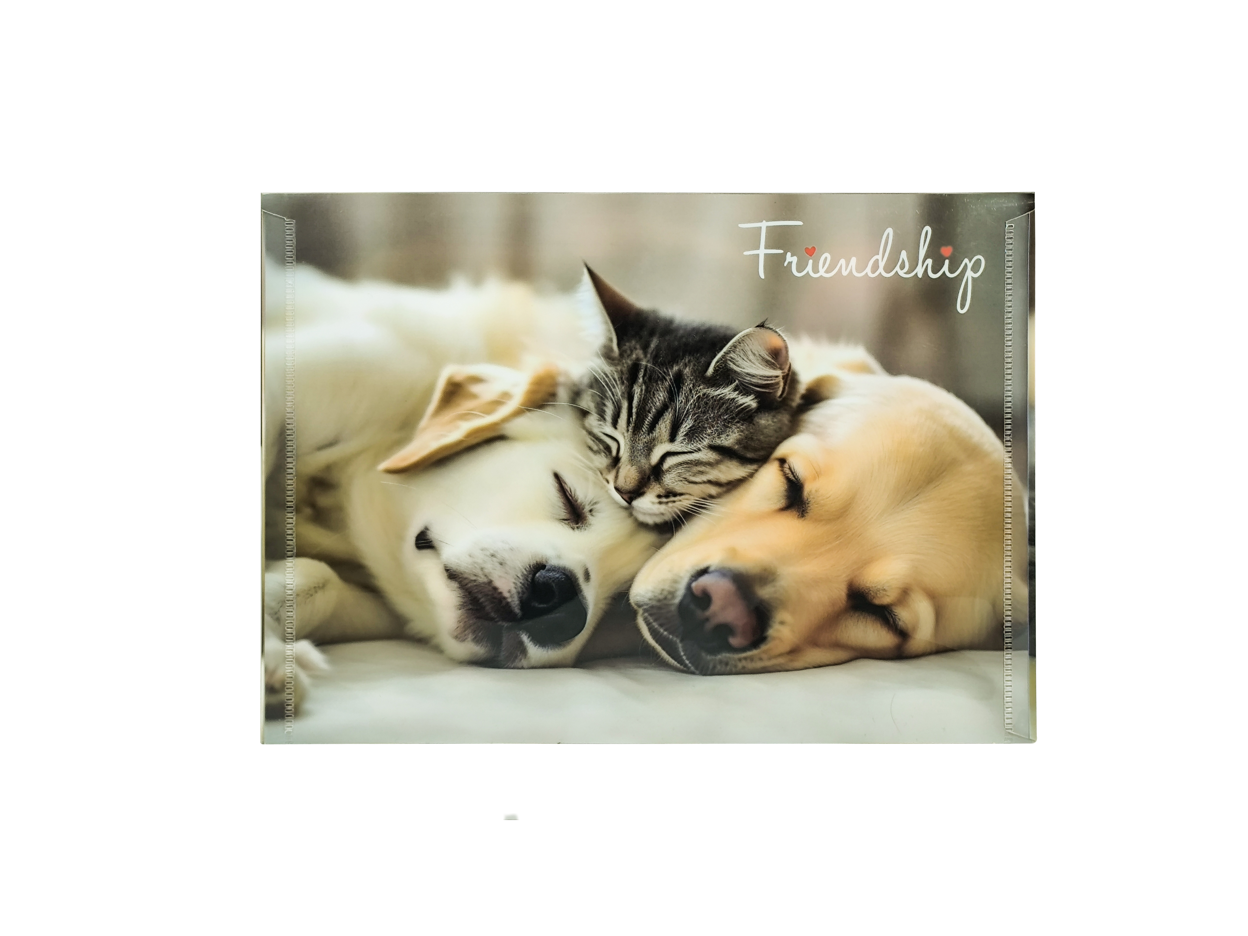 Папка-конверт на кнопке "Friendship" , А4, разноцветный