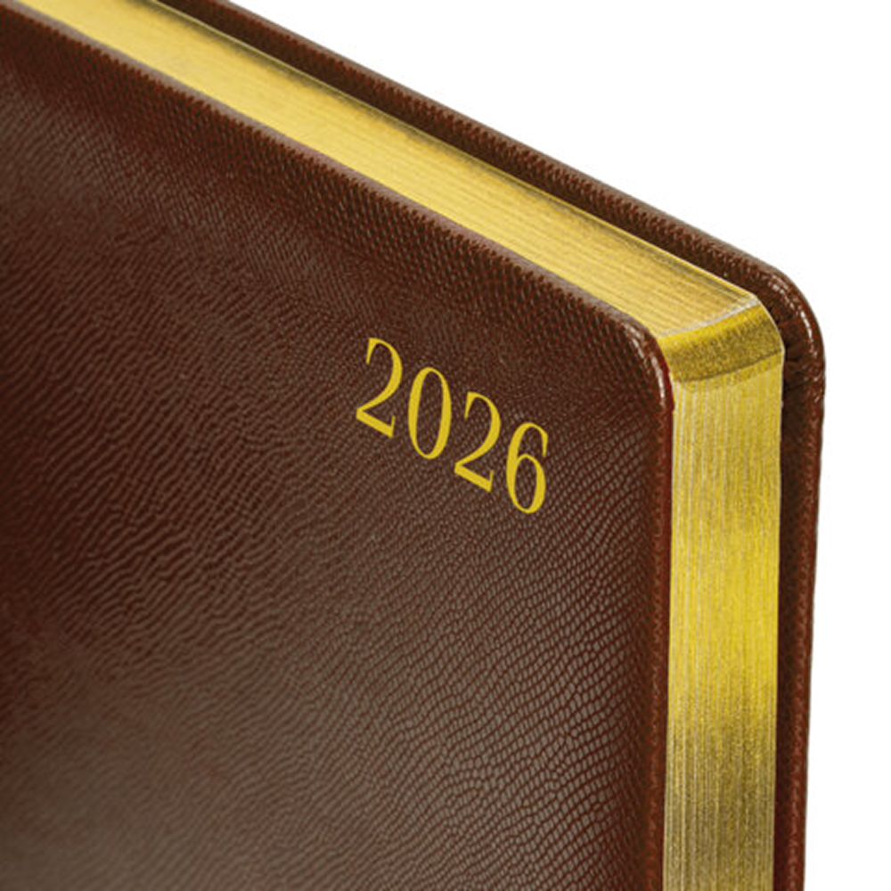 Ежедневник датированный "Iguana" на 2026 год, А4, 336 страниц, коричневый, срез золотой - 4