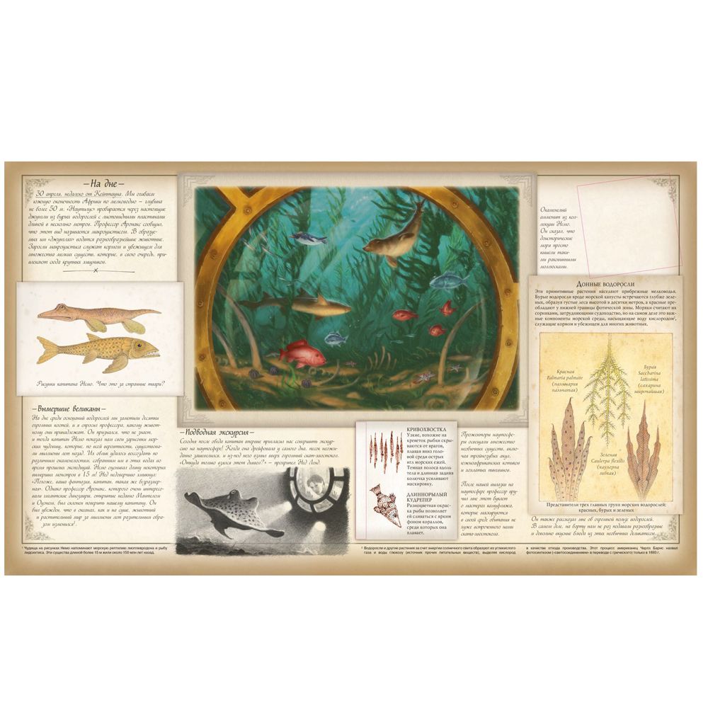 Книга "Океанология", Хокинс Э., Вуд А. - 4