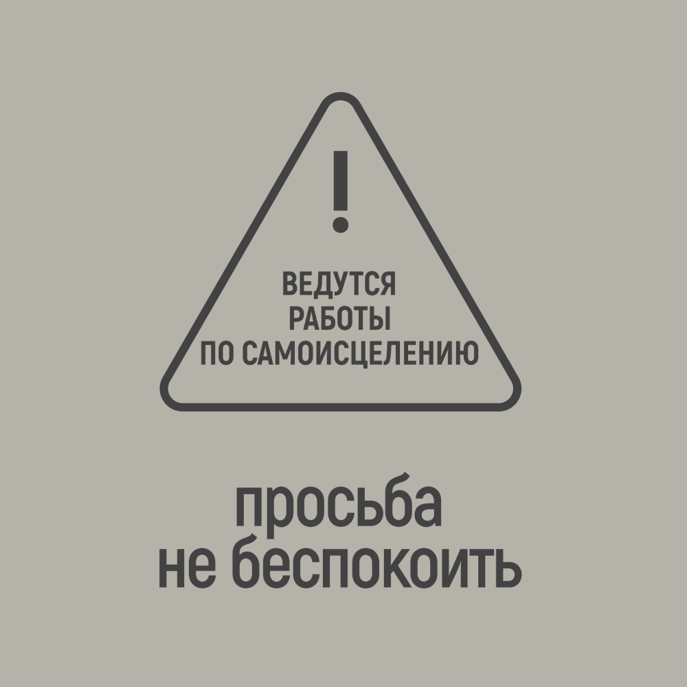 Фляжка "Просьба не беспокоить", 235 мл, серебристый