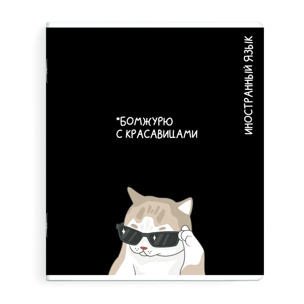 Тетрадь предметная "Бомжурю с красавицами. Иностранный язык", А5, 48 листов, клетка, черный