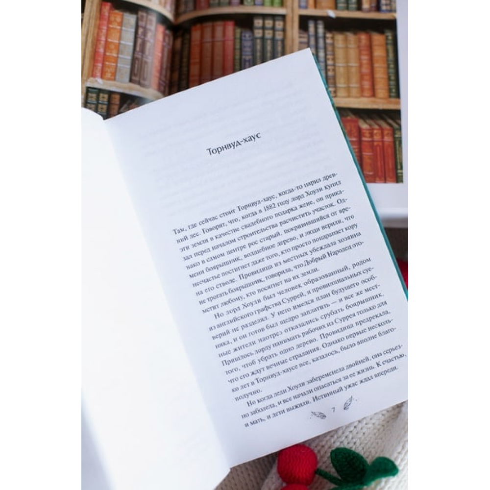 Книга "Собиратель историй", Иви Вудс