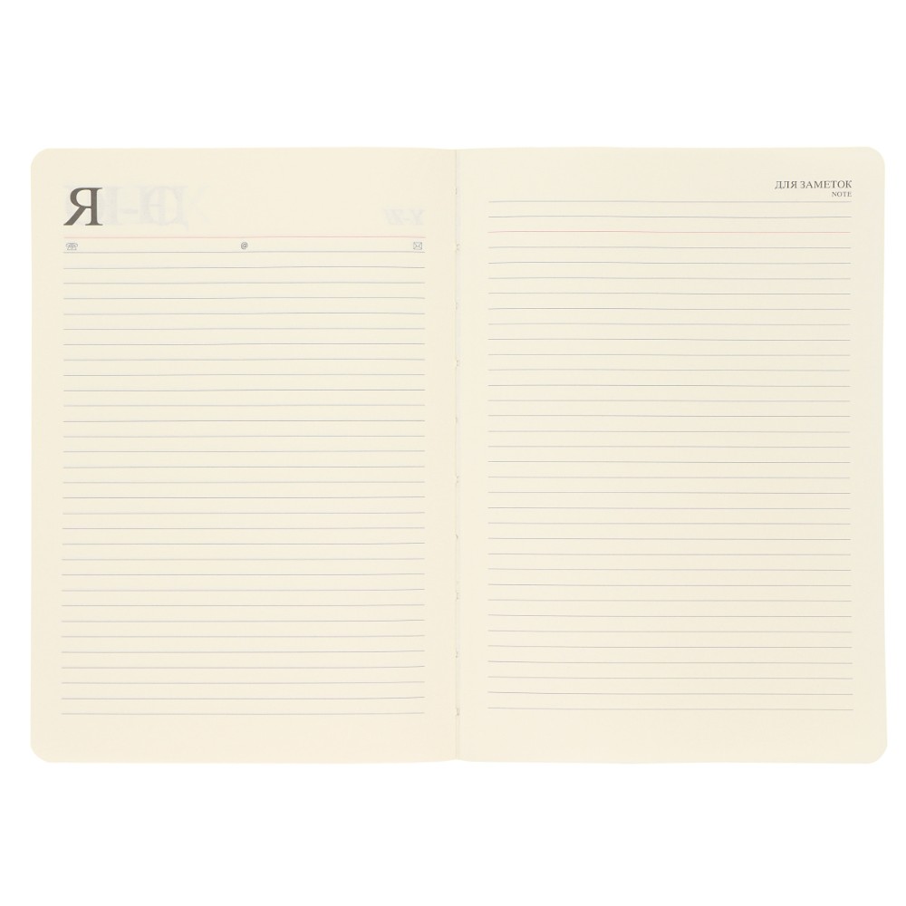Ежедневник недатированный "FIORENZO Note Book", A5, 168 страниц, черный - 7