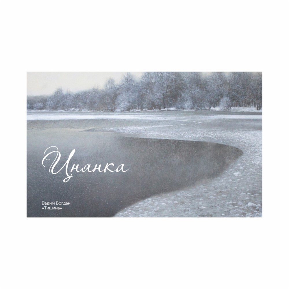 Ежедневник недатированный "Тишина", Вадим Богдан, А5, 272 стр., разноцветный