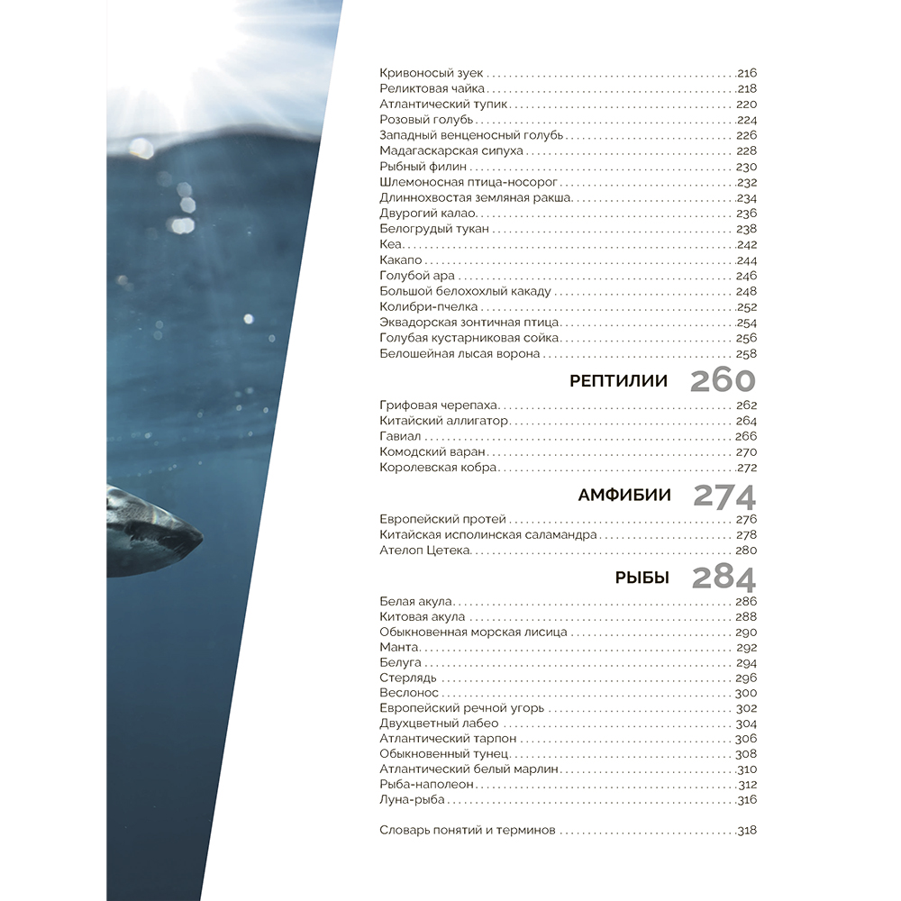 Книга "Красная книга мира. Млекопитающие, птицы, рептилии, амфибии, рыбы", Дмитрий Лукашанец, Екатерина Лукашанец - 9
