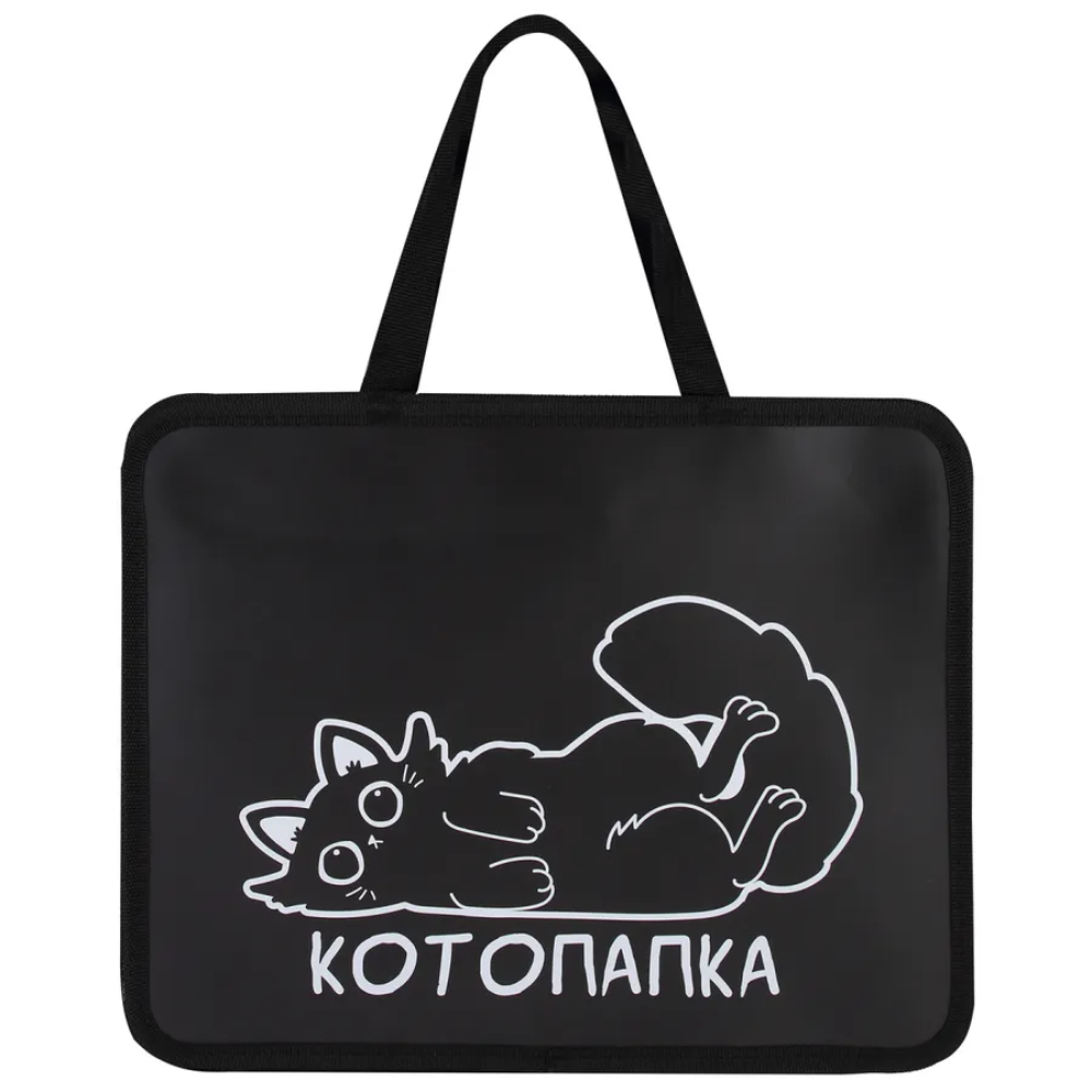 Папка для тетрадей "First Котожизнь", А4, с ручками, молния, черный