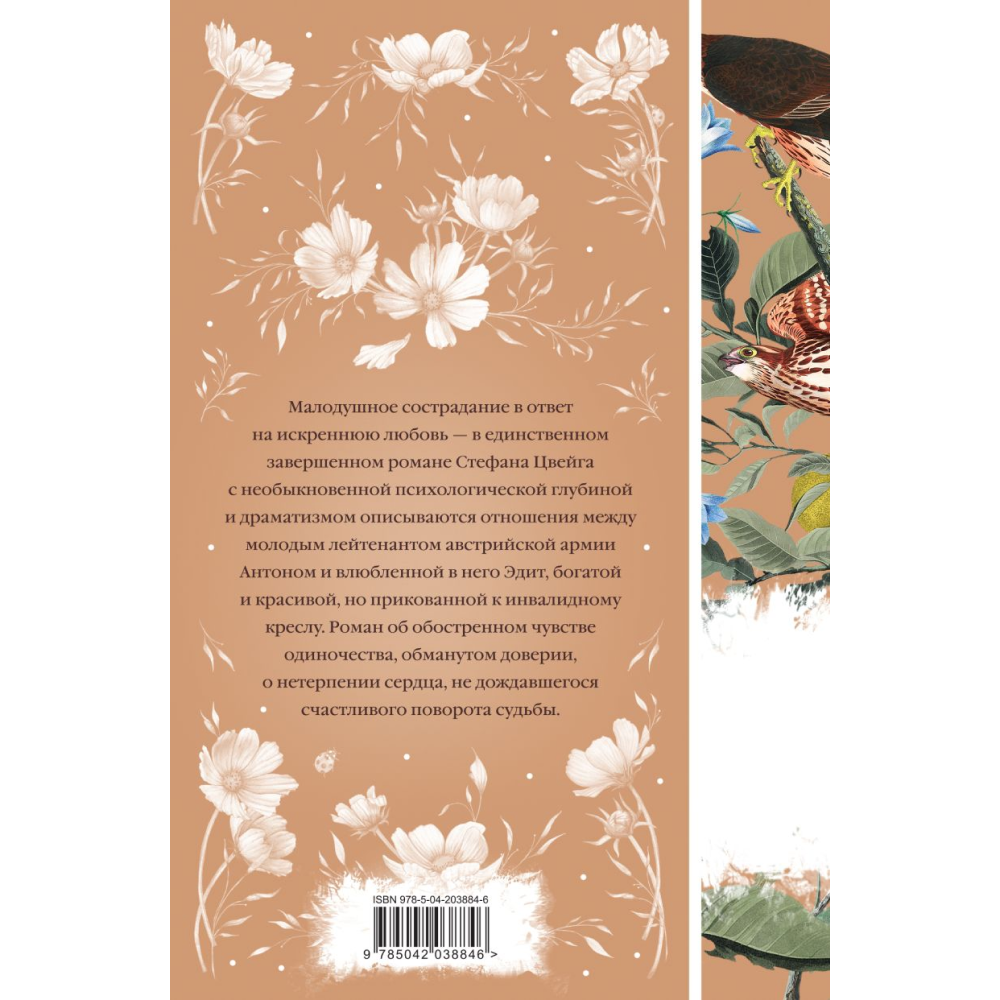 Книга "Элегантная классика. Нетерпение сердца (книга #32)", Цвейг С. 