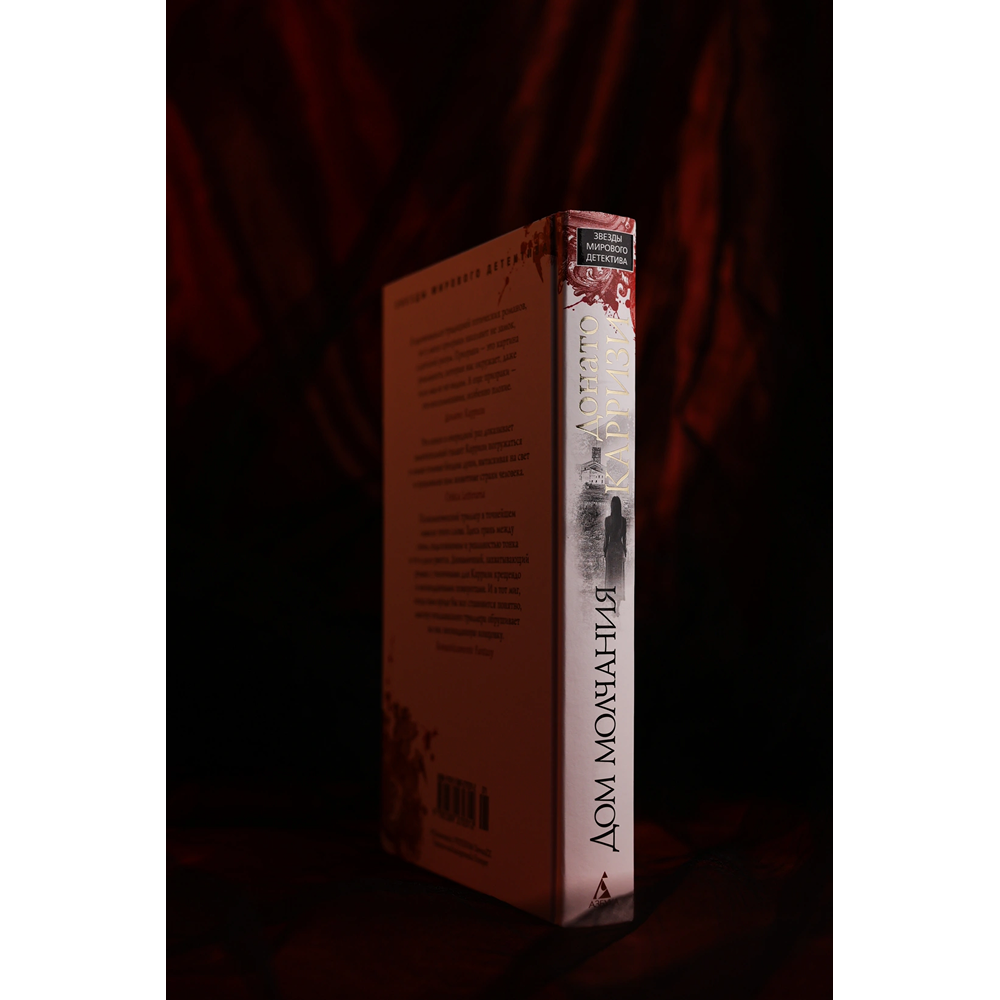 Книга "Дом молчания", Донато Карризи - 6