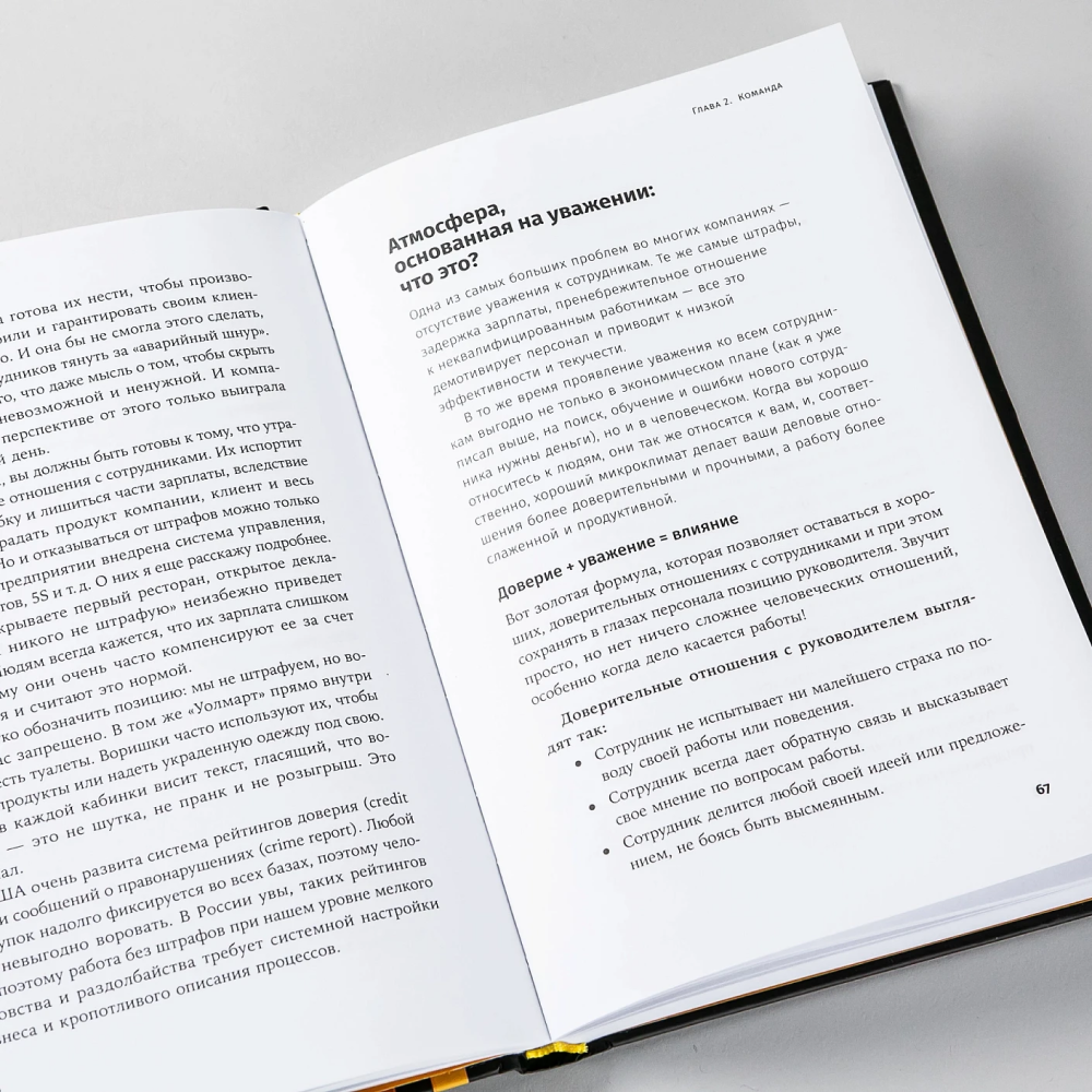Книга "Бизнес в стиле "Макдоналдс": Как превратить вашу компанию в стабильно работающий механизм", Марсель Зиганшин - 8