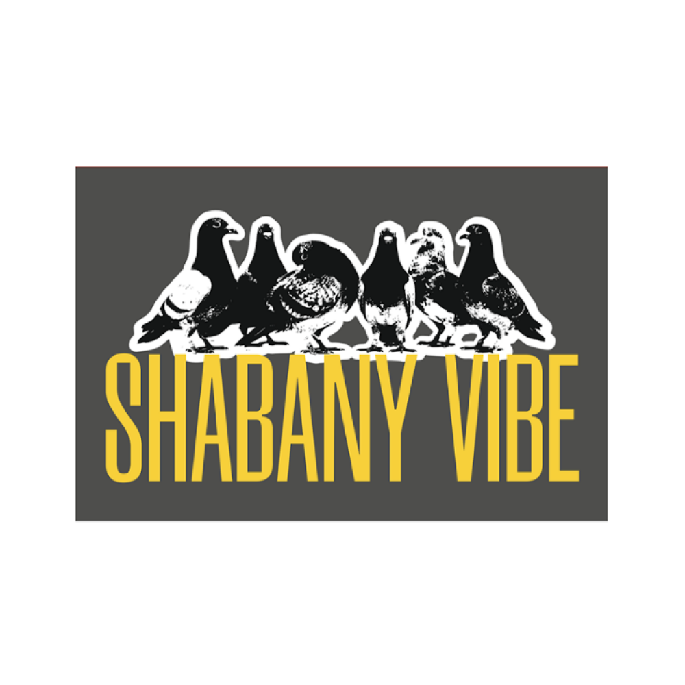 Магнит "Shabany vibe", 90х65 мм