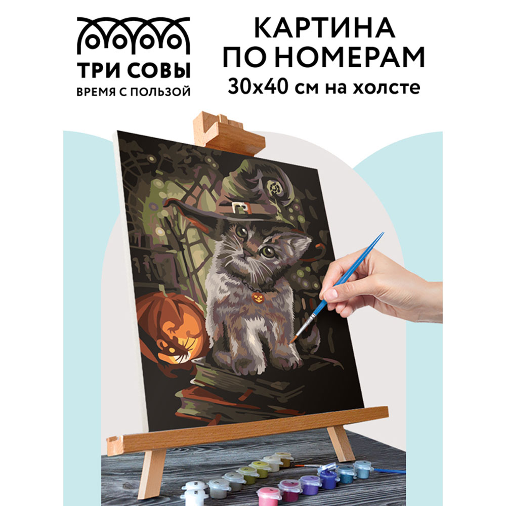 Картина по номерам "Заколдованный котик" - 2