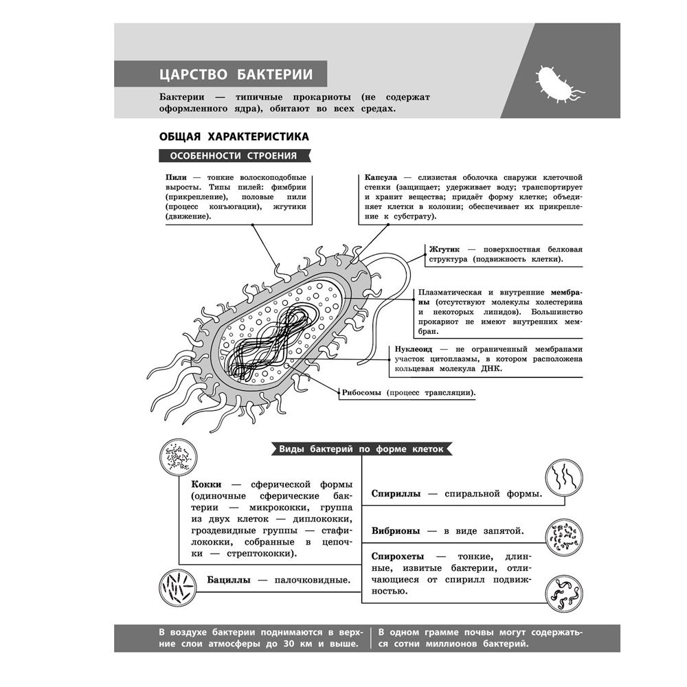 Книга "Биология в инфографике", Оксана Мазур - 5