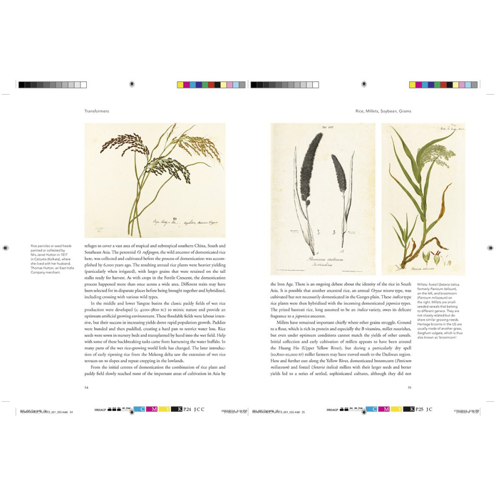 Книга на английском языке "Remarkable plants", Helen Bynum, William Bynum - 5