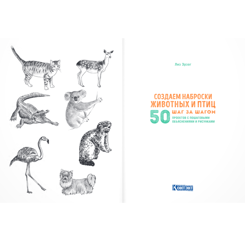 Книга "Скетчбук начинающего художника. Создаем наброски животных и птиц шаг за шагом. 50 проектов с подробными объяснениями и рисунками", Лиз Эрзог - 6
