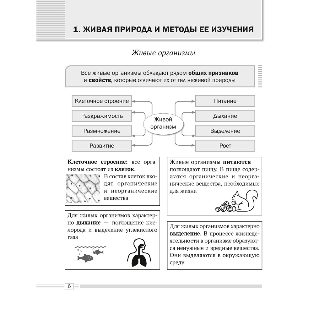 Книга "Биология. 6 класс. Опорные конспекты, схемы и таблицы", Лисов Н. Д. - 4