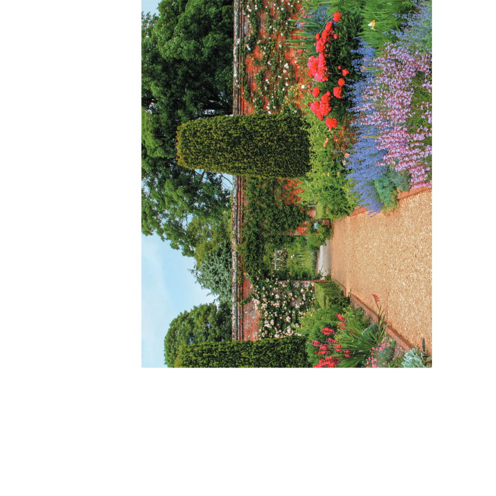 Книга "Фотография. Руководство по съемке природных сюжетов", Андрей Лысиков - 6