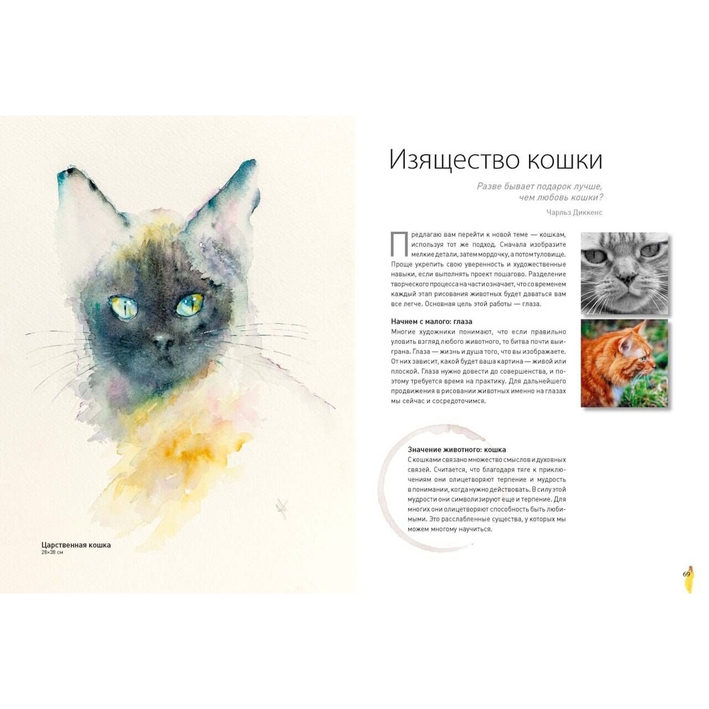 Книга "Животные акварелью от Джин Хэйнс. Медитативное рисование для контакта с собой и природой", Джин Хэйнс - 3