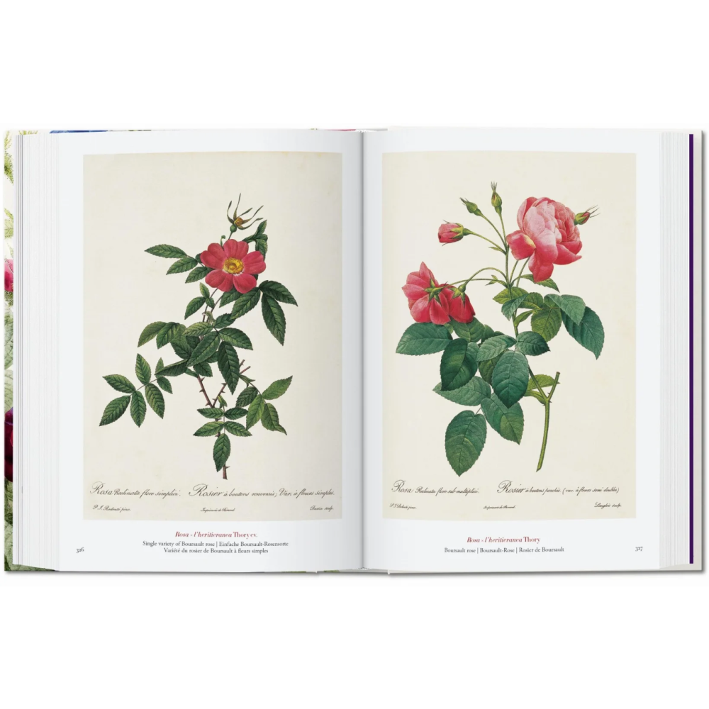 Книга на английском языке "The Book of Flowers", Pierre-Joseph Redoute - 5