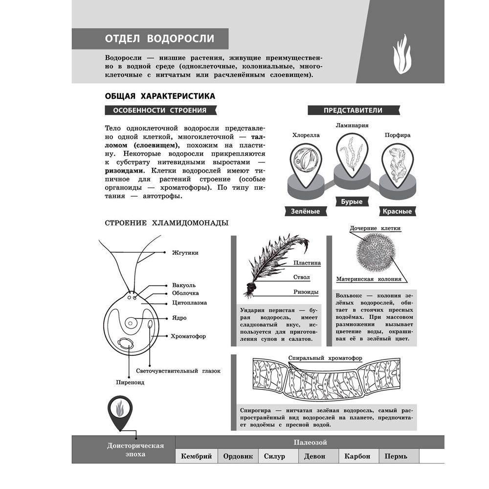 Книга "Биология в инфографике", Оксана Мазур - 11