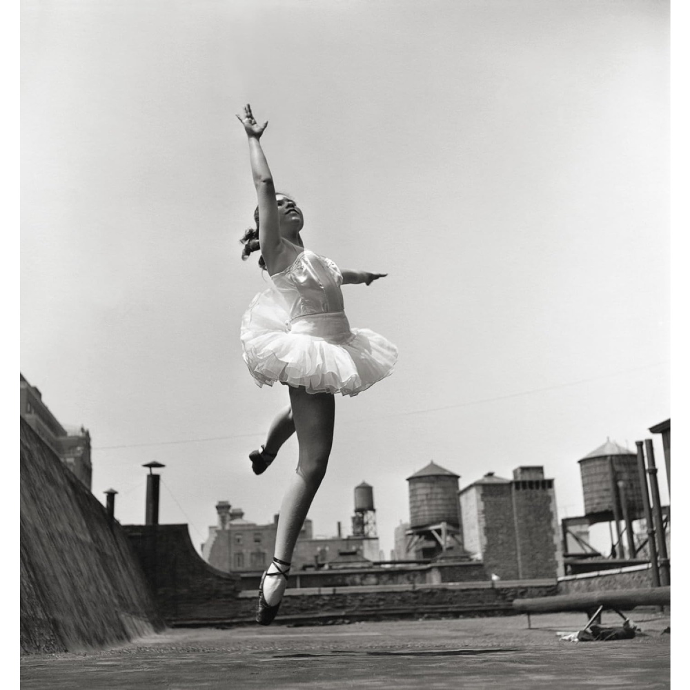 Книга на английском языке "Elliott Erwitt's New York" HB, Elliott Erwitt